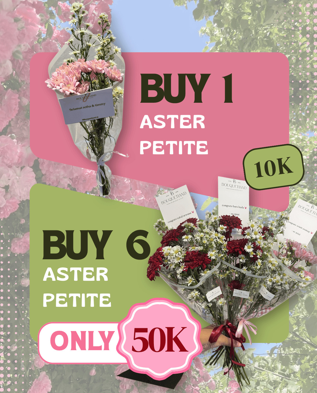 PROMO BUNDLING Aster Petite 6 pcs