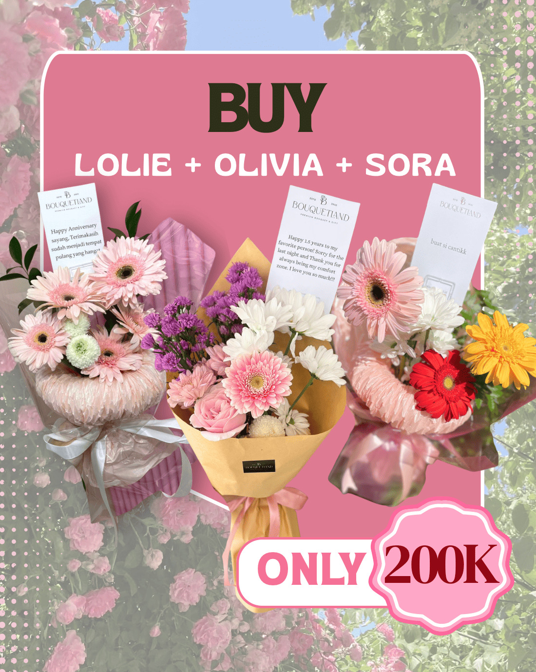 PROMO BUNDLING Lolie, Olivia, Sora
